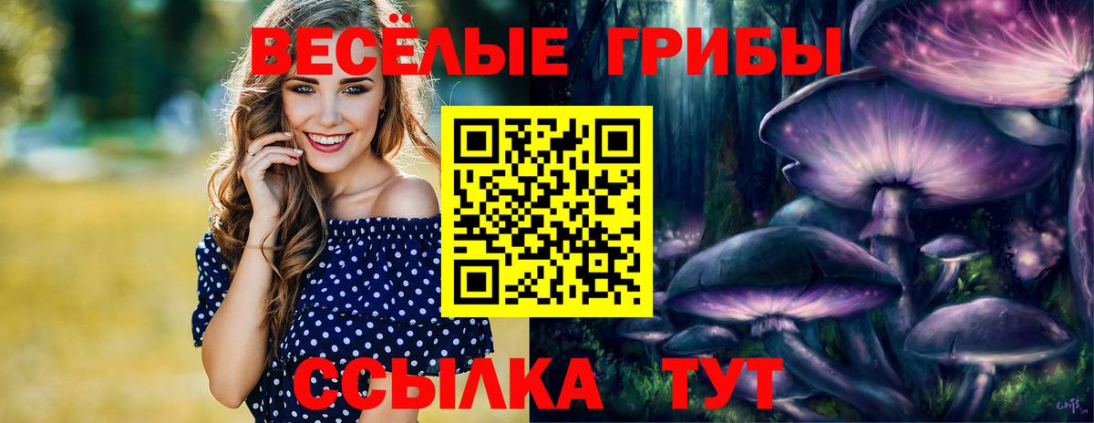 Псилоцибиновые грибы MAGIC MUSHROOMS  Галлюциногенные грибы прущие грибы  Иваново  где найти   Вход с VPN 